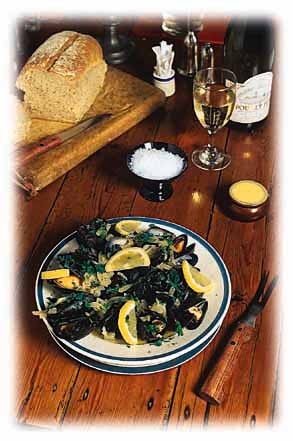 Cyflenwyr Arbenigol ym Mon